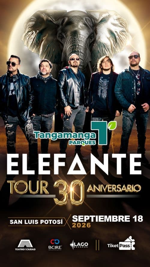 ELEFANTE SLP