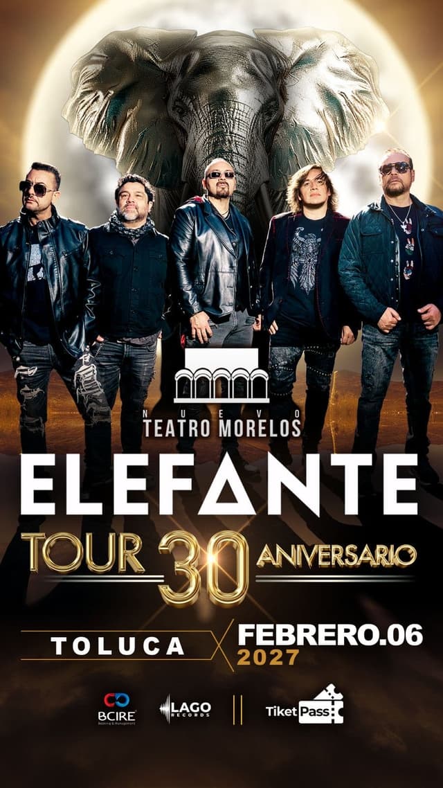 ELEFANTE TOLUCA