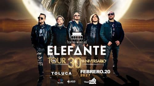ELEFANTE TOLUCA
