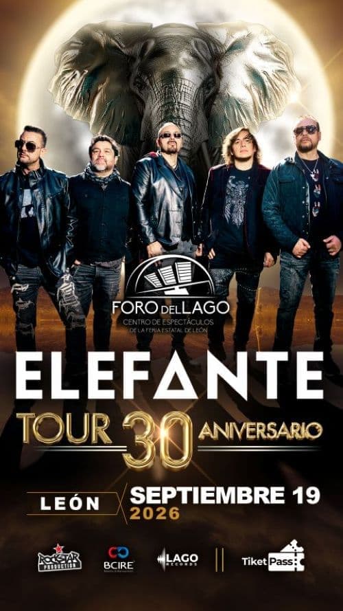 ELEFANTE EN LEÓN